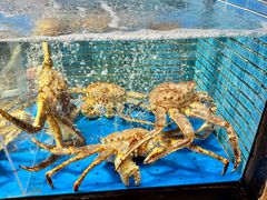 -徐记海鲜·宴会(大唐西市|丰庆店)
