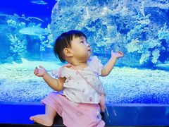 -江和美海洋公园