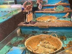 -拉完海鲜大排档(温岭店)