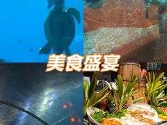 -涛·海底餐厅·美人鱼·自助餐·海底隧道(三亚海棠湾洲际度假酒店)