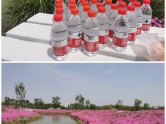-花开海上生态园