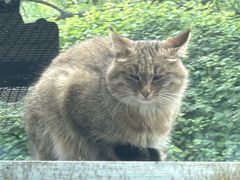 -青藏高原野生动物园