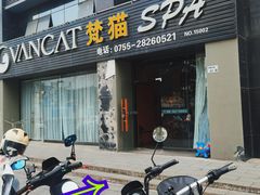 -梧桐山风景名胜区