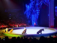 -珠海横琴长隆《卡卡虎奇遇记》