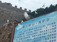 -海驴岛(荣成市)