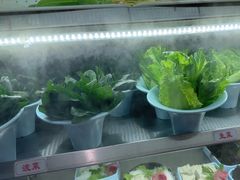 -老马路串串香火锅(北门桥店)