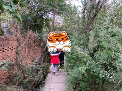 -北京十三陵国家森林公园蟒山景区