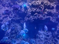 -南昌融创海世界