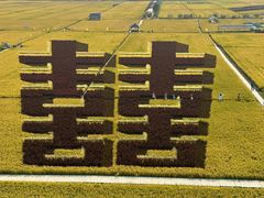 -稻梦空间冰雪小镇