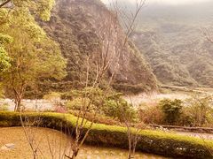 -太鲁阁公园