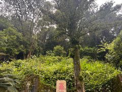 -安溪清水岩