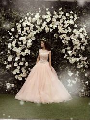 点击看大图 -太郎花子婚纱摄影艺术中心