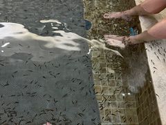 -中家鑫园温泉酒店鑫悦汤泉