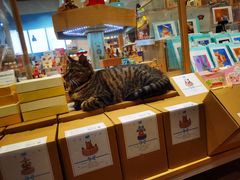 -猫的天空之城概念书店(杭州南宋御街店)