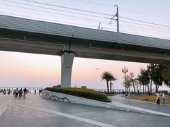 -宝安西湾红树林湿地公园