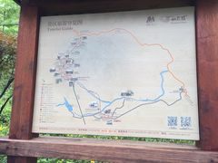 -仙霞关景区