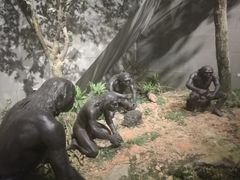 -北京周口店北京人遗址博物馆