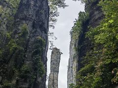 -恩施大峡谷