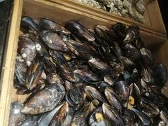 -星伦多自助料理·涮烤一体(嘉兴八佰伴店)