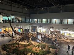 -自贡恐龙博物馆