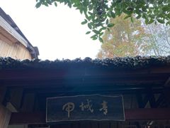 -青城甲(青城山店)