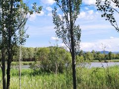 -野鸭湖国家湿地公园