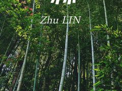 -篁岭景区