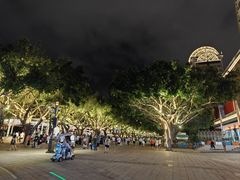 -闽江夜游台江旅游码头