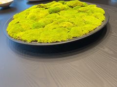 -润苑·悦椿轩(徐汇万科中心一期店)