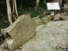 -上海佘山国家森林公园天马山园