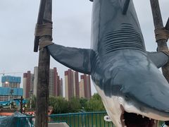 -沈阳方特欢乐世界