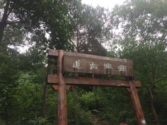 -龙寺生态园