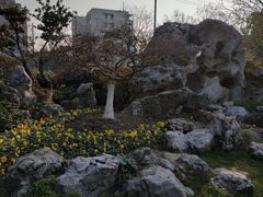 -荆川公园