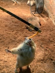 -Zoolung Zoolung动物主题公园(海信广场店)