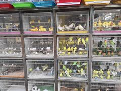 -宠爱我(南山店)