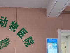 -天使宠物医院·犬猫分诊(彩虹店)