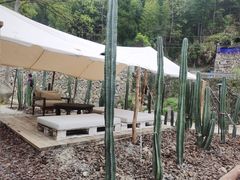 -MOJ coffee(瓯海泽雅水碓坑店)