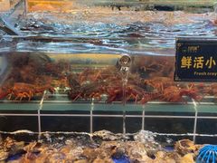-九月海·海鲜自助(世纪东方店)