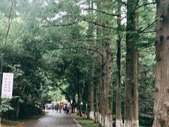 -敬亭山风景名胜区