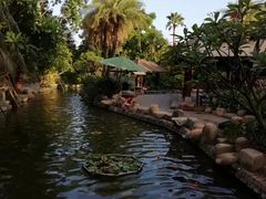 -厦门日月谷温泉渡假村