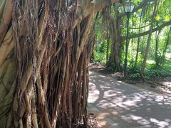 -白沙门生态公园