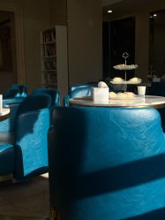 -碧莲盛·不剃发植发