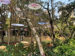 -人民公园(罗湖区)