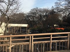 -井之头恩赐公园