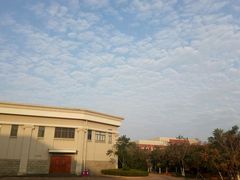 -南开大学滨海学院