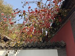 -承恩寺