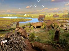 -陕西自然博物馆