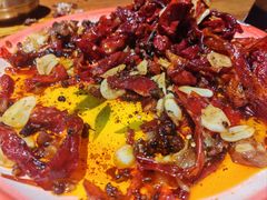 -柴窝堡22号辣子鸡·传承新疆菜