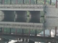 -重庆彩云湖湿地公园