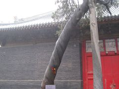 -关林